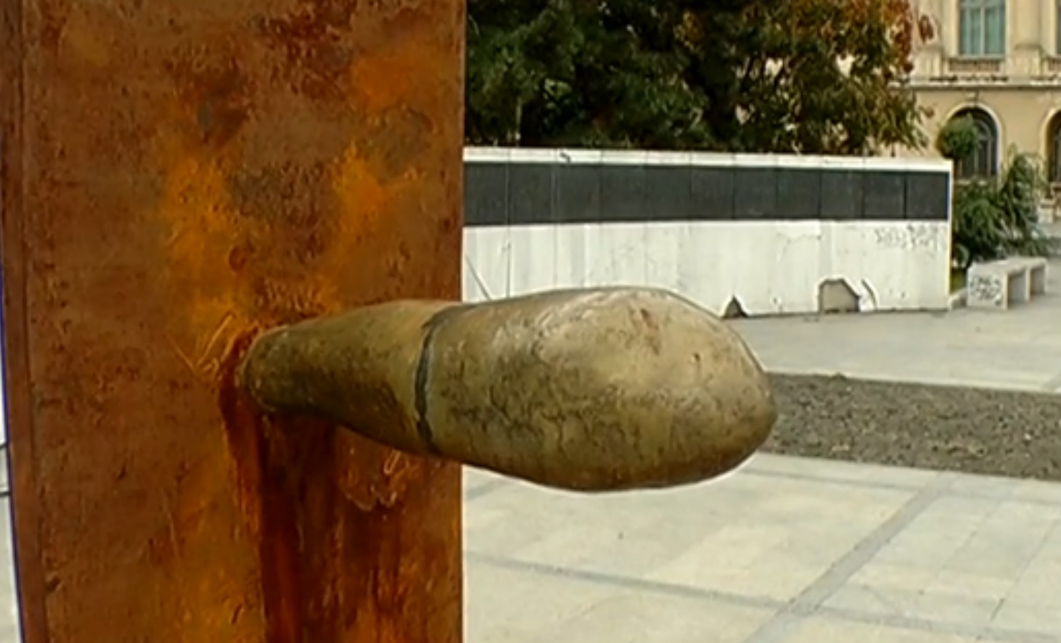 Sculpturi mari ale penisului. Un vandal a sculptat tufișurile dintr-un parc în formă de penisuri