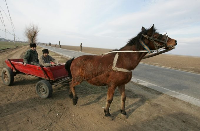 ANALIZĂ. Românii nu mai știu să meargă cu căruța. Cad și își sparg capetele