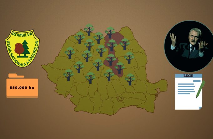 VIDEO. Statul român e pe cale să piardă 20% din păduri, în urma unei legi inițiate de Liviu Dragnea