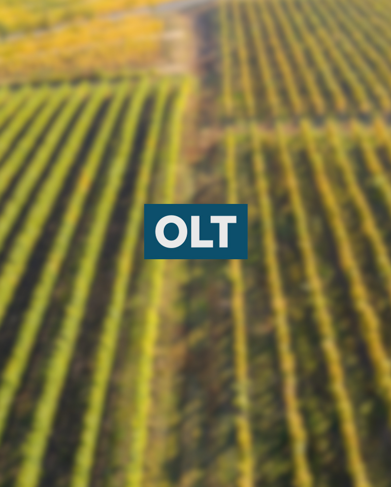 Candidații județului Olt