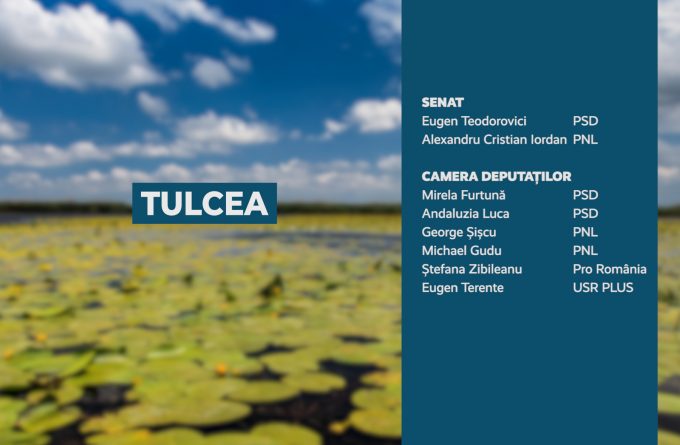 Candidații județului Tulcea