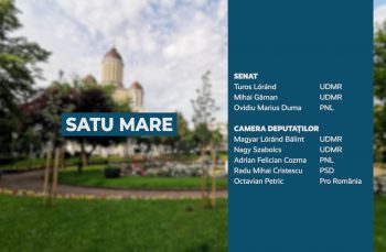 Candidații județului Satu Mare